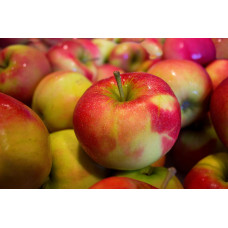 Q POMME GRANNY SMITH